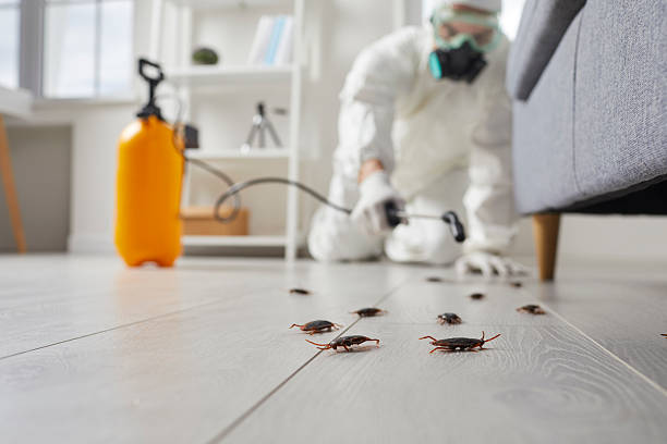 Commercial Kitchen Cockroach Control in Parlier